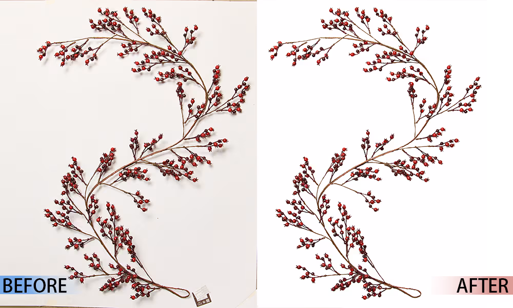 BACKGROUND REMOVAL SERVICE 19 Visually-Edit-Slider-08